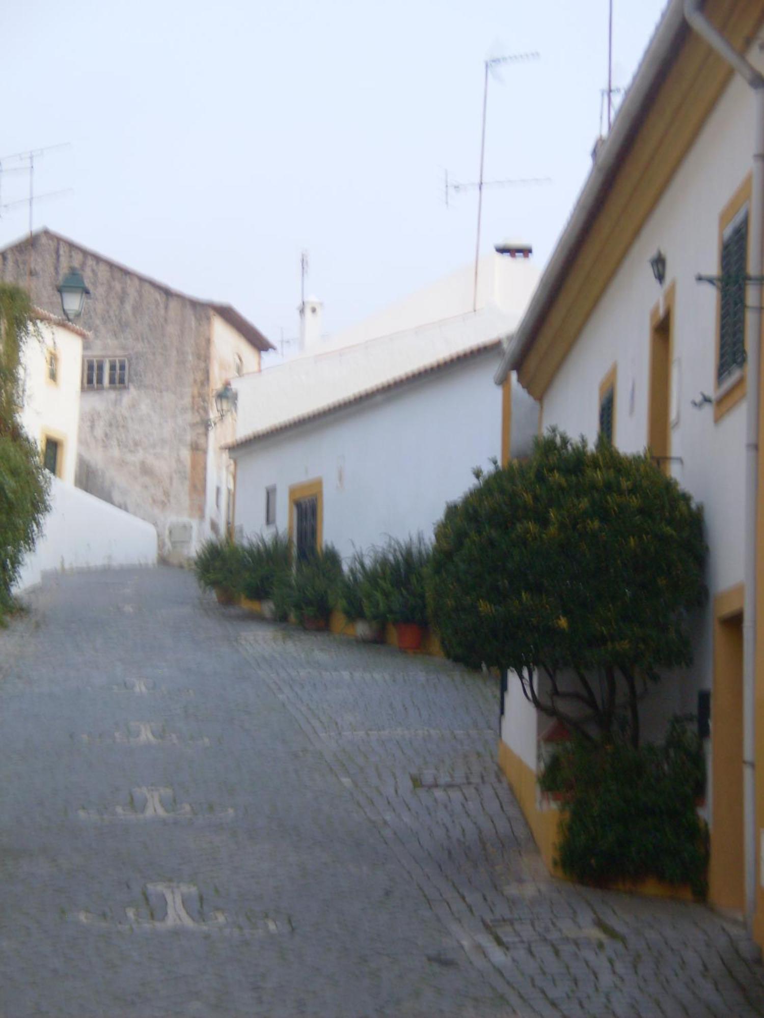 Casa Joao Chagas Guesthouse, Constancia, By Viva A Vida - Alojamentos E Hotels Dış mekan fotoğraf